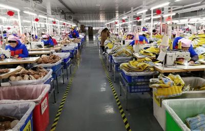 2019年的标准来了:优秀服装工厂十项制度!